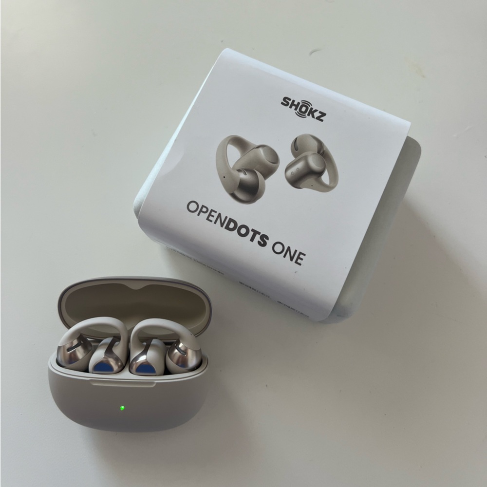 Shokz opendots one